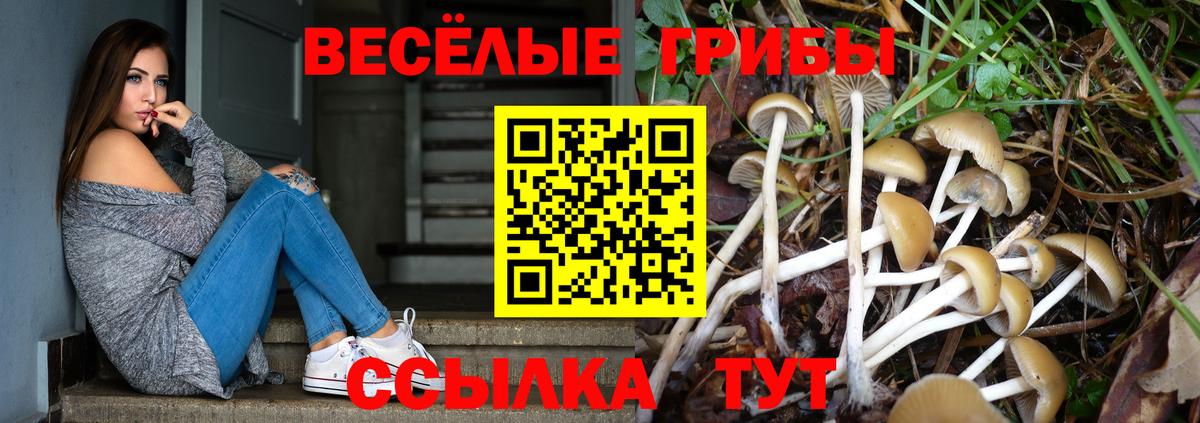как найти наркотики  Вход с VPN  Заволжье  Галлюциногенные грибы GOLDEN TEACHER 